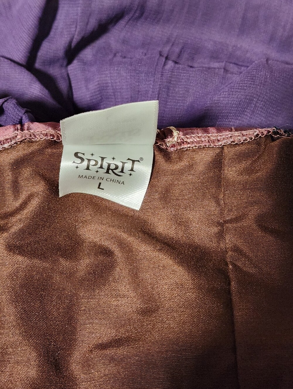 Spirit Halloween Signature Collection Hocus Pocus Sarah Sanderson 2pc Costume L - Picture 13 of 13